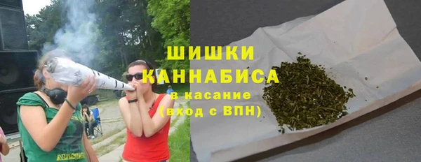твердый Протвино