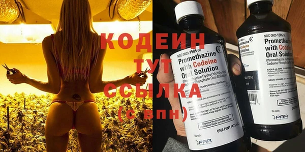 твердый Протвино