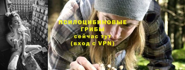 твердый Протвино