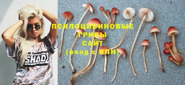 твердый Протвино