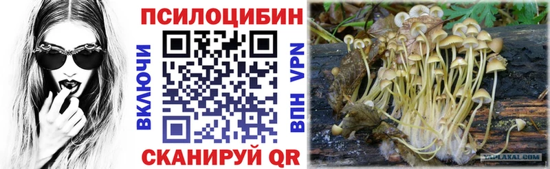 Псилоцибиновые грибы прущие грибы  купить закладку  Армянск 